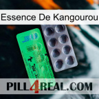 Kangaroo Essence new04